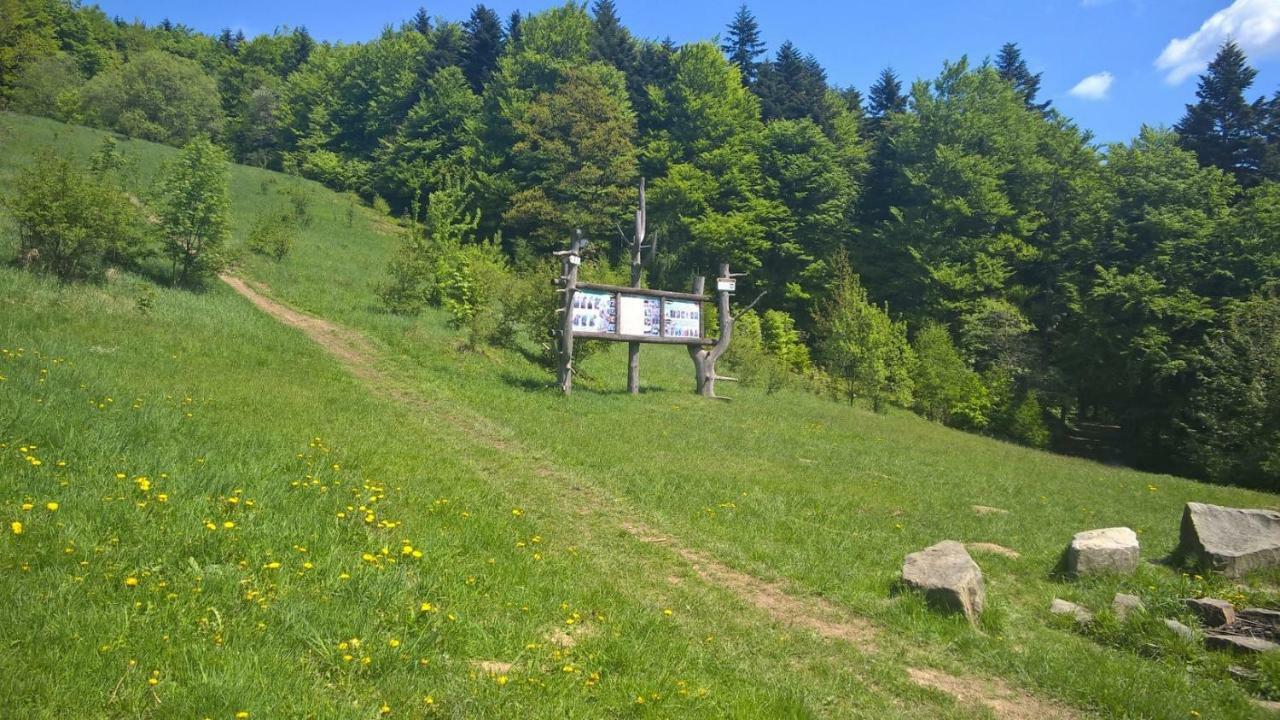 Hotel Pod Kamiennikiem Trzemesnia Esterno foto